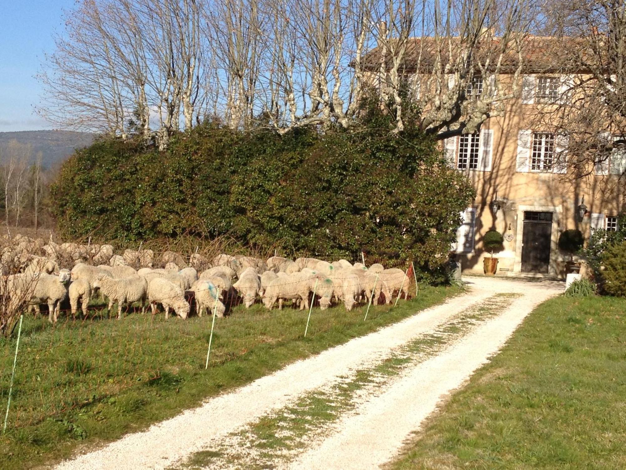 برينيول B&B Domaine Le Clos Du Pavillon المظهر الخارجي الصورة