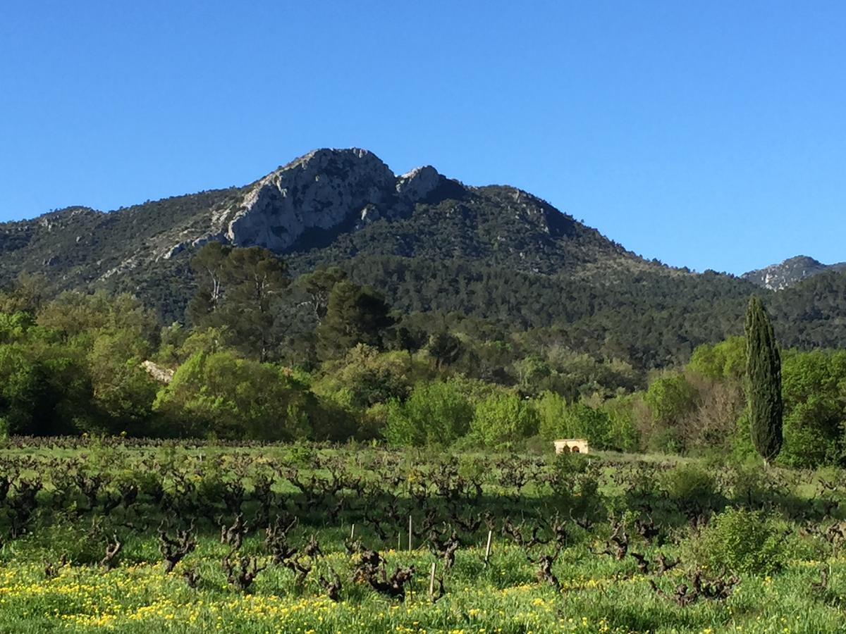 برينيول B&B Domaine Le Clos Du Pavillon المظهر الخارجي الصورة